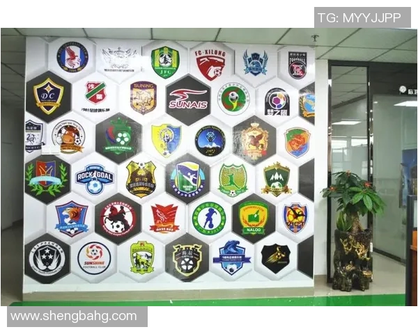 中国足球明星的璀璨星空及其对国家足球发展的影响分析