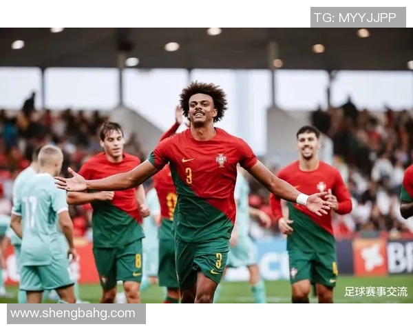 意大利足球明星的巅峰时刻与传奇成就全解析