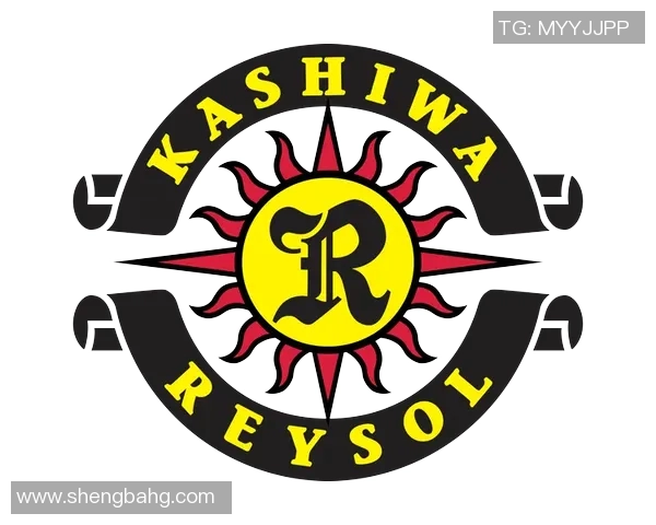 柏太阳神迎战金泽全力争胜力争积分榜上升 柏太阳神迎战金泽全力争胜力争积分榜上升